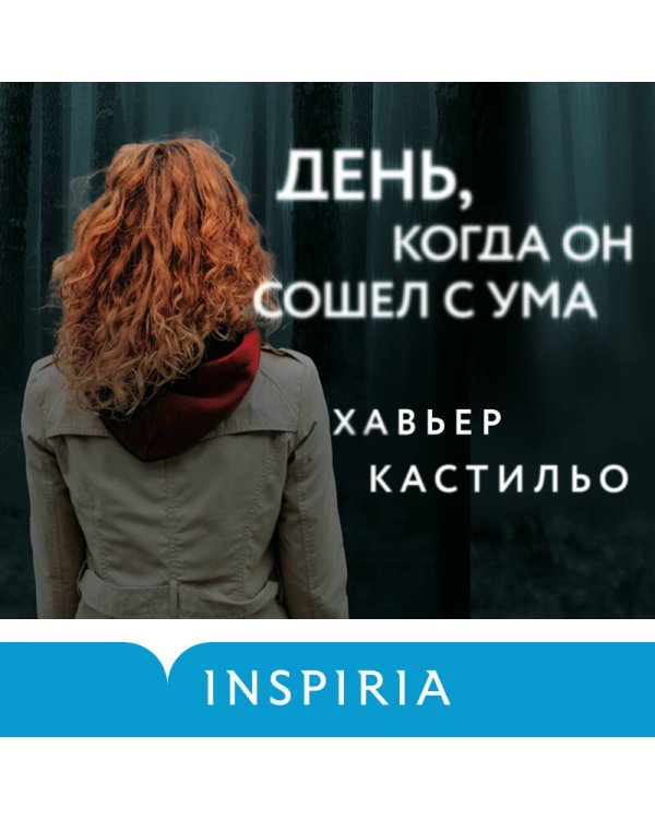 День, когда он сошел с ума