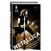 Metallica. Экстремальная биография группы (новый перевод)