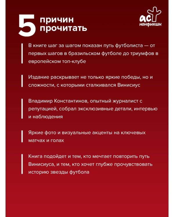 Дополнительное изображение книги «Винисиус Жуниор»