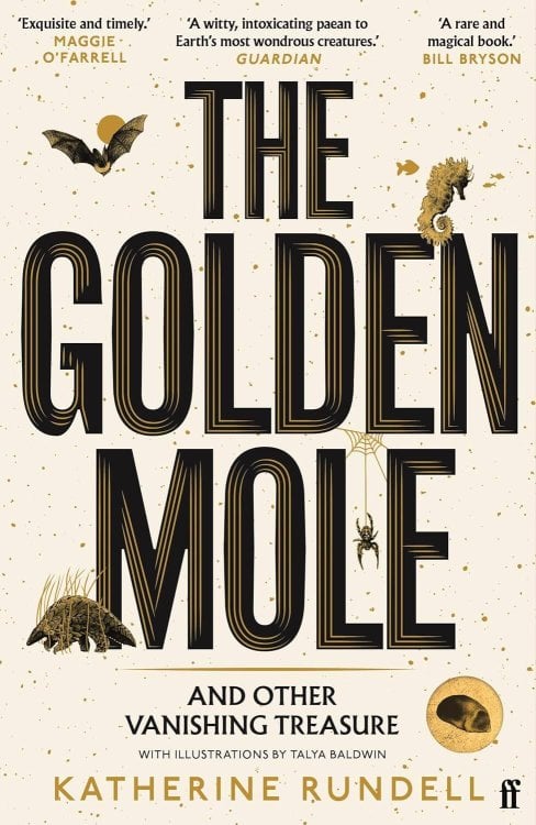 Зарубежная литература (Faber & Faber) Golden mole (Katherine Rundell) Золотой крот (Кэтрин Ранделл) /Книги на английском языке