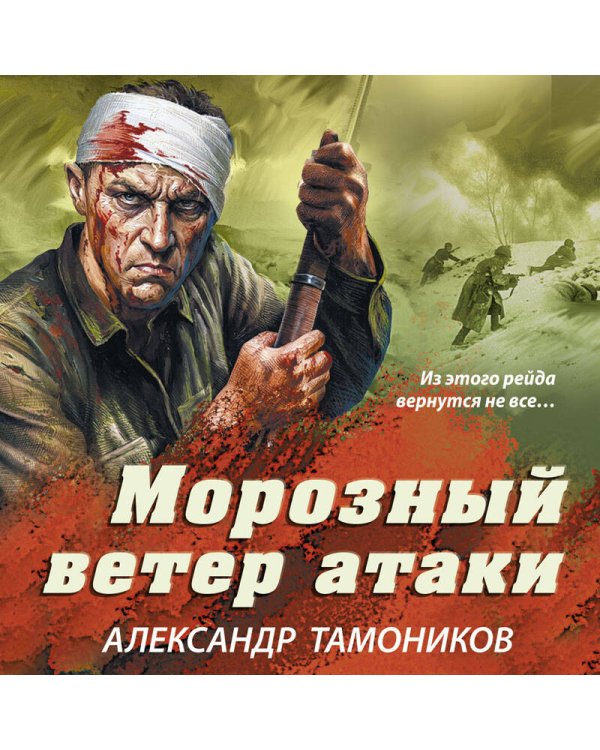 Дополнительное изображение книги «Морозный ветер атаки»