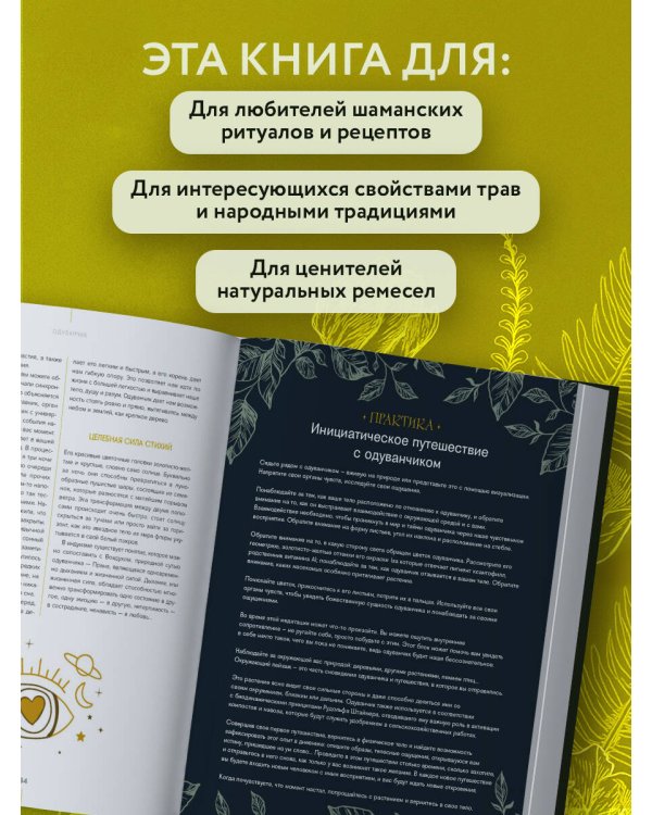 Шаманское травничество. Сила растений. Рецепты наших предков