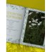 Шаманское травничество. Сила растений. Рецепты наших предков
