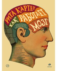 Как работает мозг