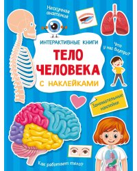 Тело человека