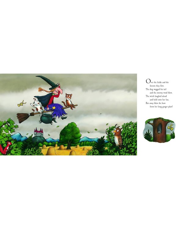 Room on the Broom (Julia Donaldson) Верхом на помеле (Джулия Дональдсон) /Книги на английском языкt