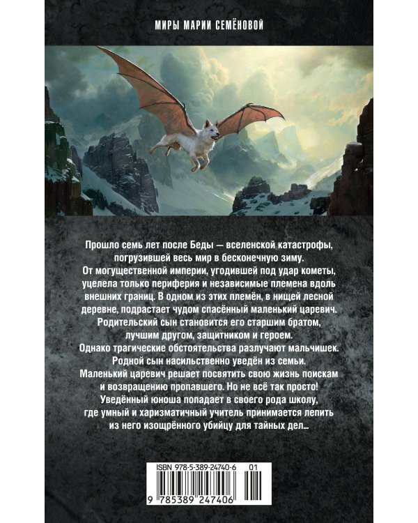 Братья. Книга 3. Завтрашний царь. Том 1