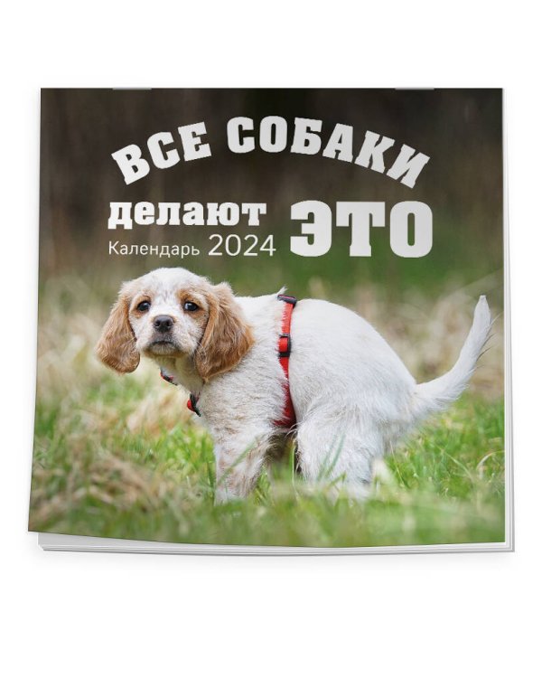 Все собаки делают это. Календарь настенный на 2024 год (300х300)