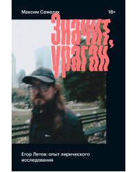 Значит, ураган. Егор Летов: опыт лирического исследования