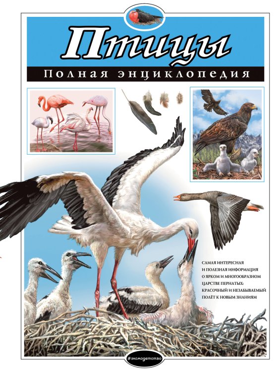 Атласы и энциклопедии. Полные энциклопедии Птицы. Полная энциклопедия