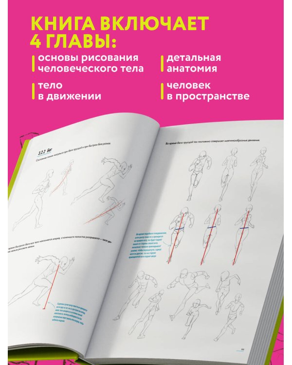 Человек в движении. Подробный анатомический курс по рисованию: от общей формы до перспективы