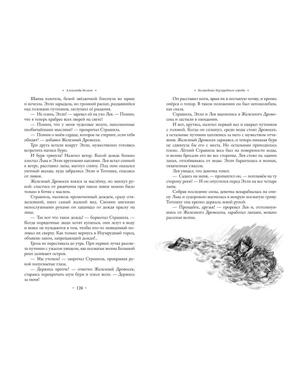 Волшебник Изумрудного города. Все путешествия в Волшебной стране (ил. В. Канивца)