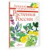 Лучший определитель Растения России