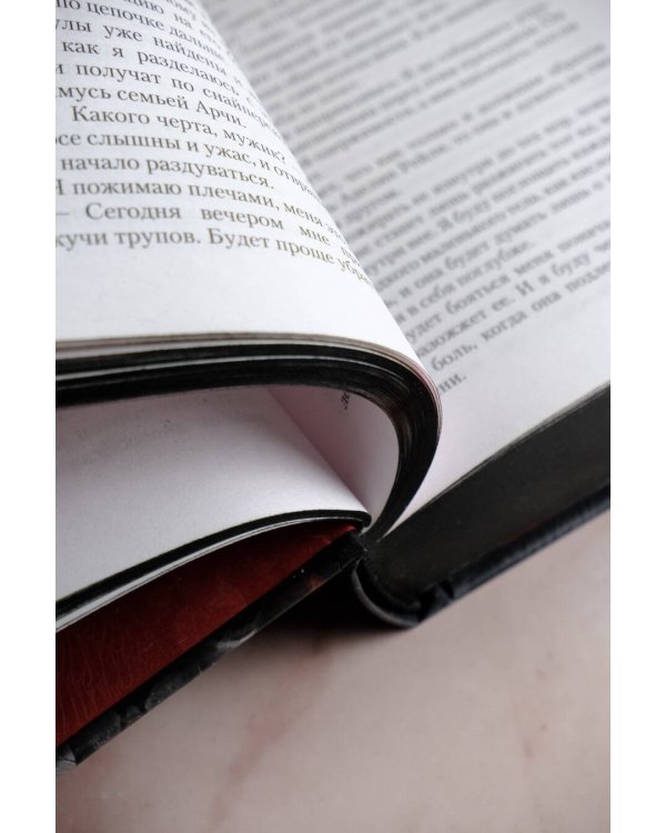 Преследуя Аделин. Специальное издание