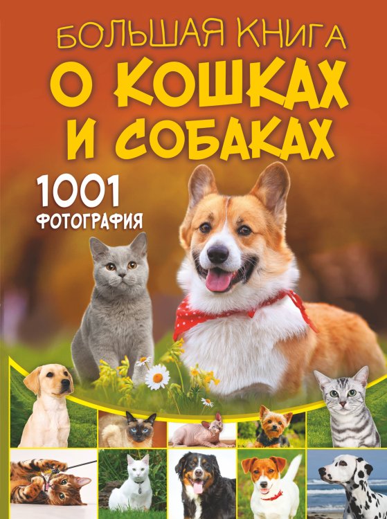 Большая книга обо всём Большая книга о кошках и собаках. 1001 фотография