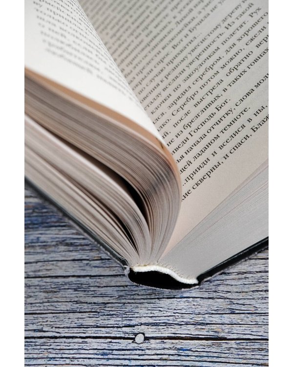 Самая страшная книга. Заступа: Все оттенки падали