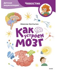 Как устроен мозг. Детская энциклопедия (Чевостик) (Paperback)