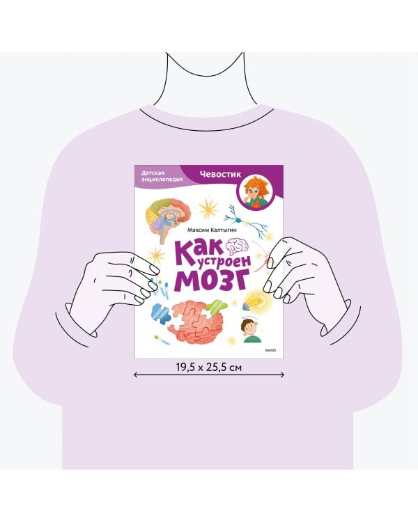 Как устроен мозг. Детская энциклопедия (Чевостик) (Paperback)
