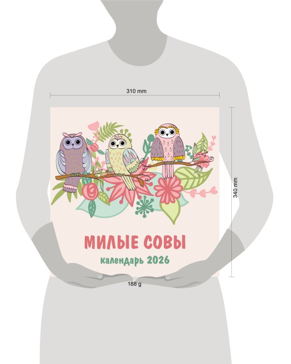 Милые совы. Календарь настенный на 2026 год (300х300 мм)