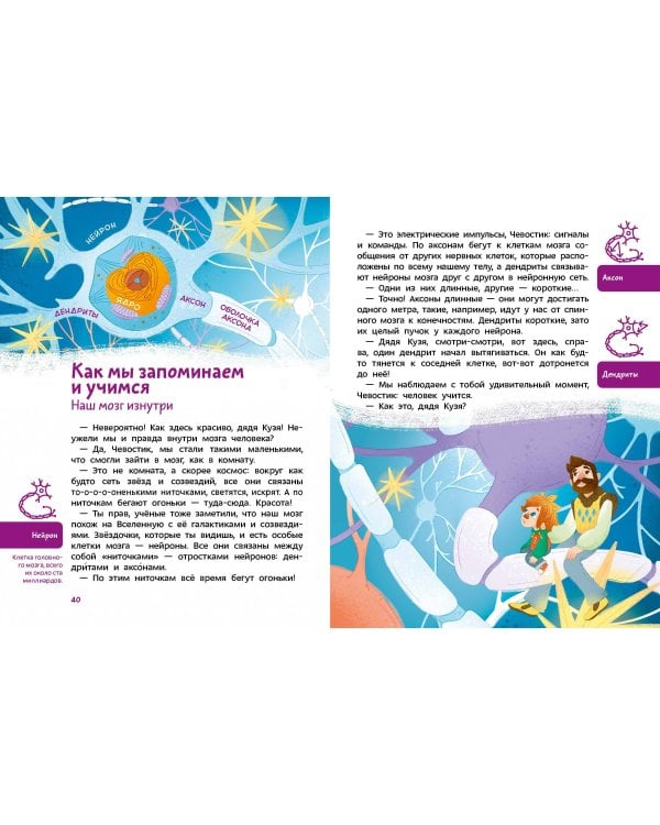 Как устроен мозг. Детская энциклопедия (Чевостик) (Paperback)