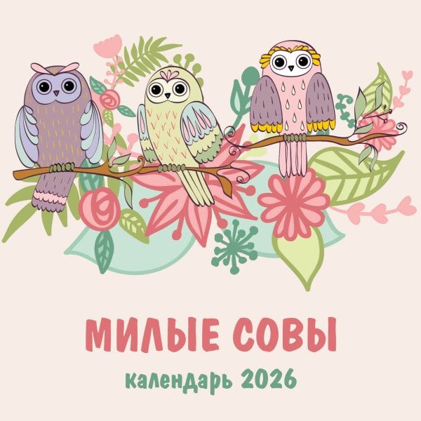 Милые совы. Календарь настенный на 2026 год (300х300 мм)