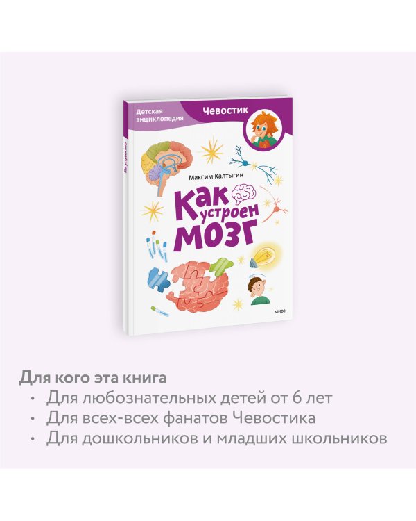 Как устроен мозг. Детская энциклопедия (Чевостик) (Paperback)