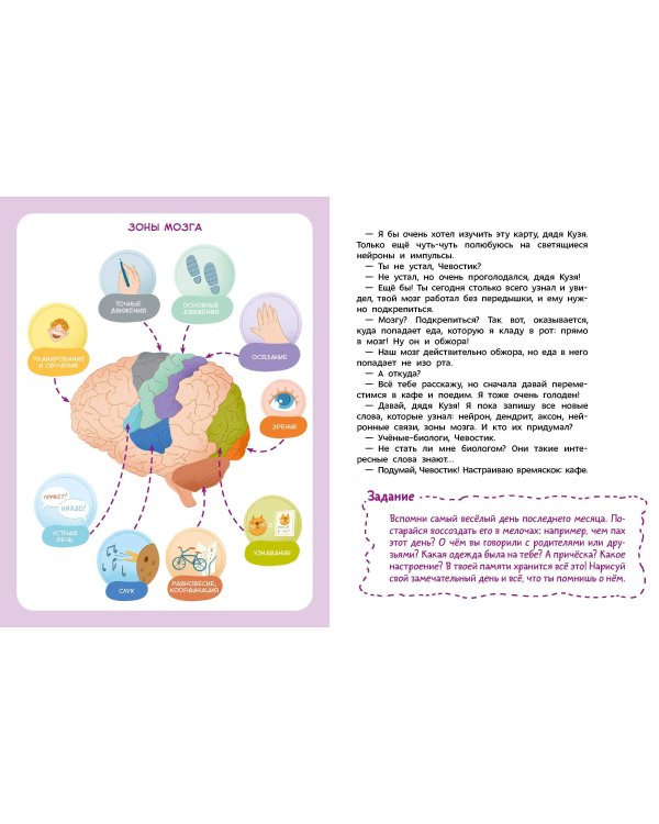 Как устроен мозг. Детская энциклопедия (Чевостик) (Paperback)