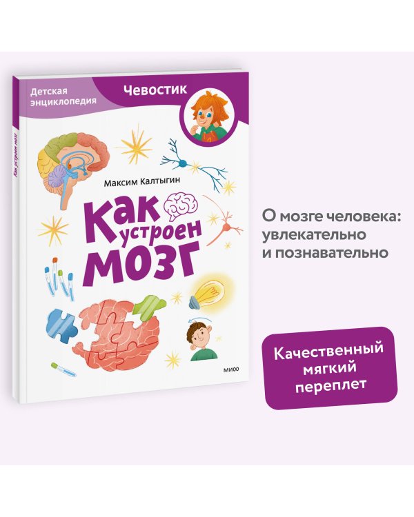 Как устроен мозг. Детская энциклопедия (Чевостик) (Paperback)