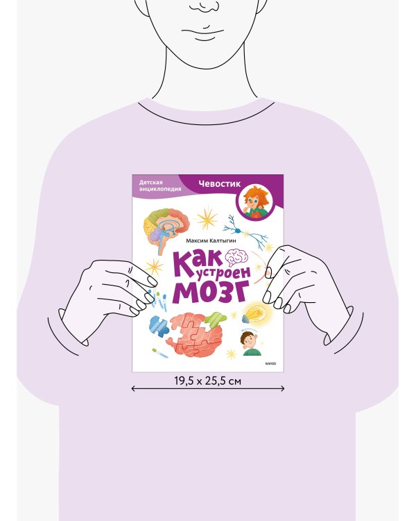 Как устроен мозг. Детская энциклопедия (Чевостик) (Paperback)