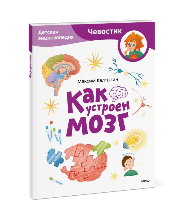 Как устроен мозг. Детская энциклопедия (Чевостик) (Paperback)