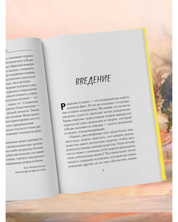 Дополнительное изображение книги «Реинкарнация. Что ждет нас в следующей жизни?»