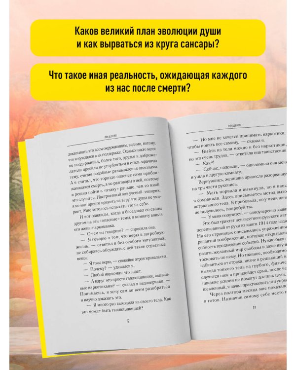 Дополнительное изображение книги «Реинкарнация. Что ждет нас в следующей жизни?»