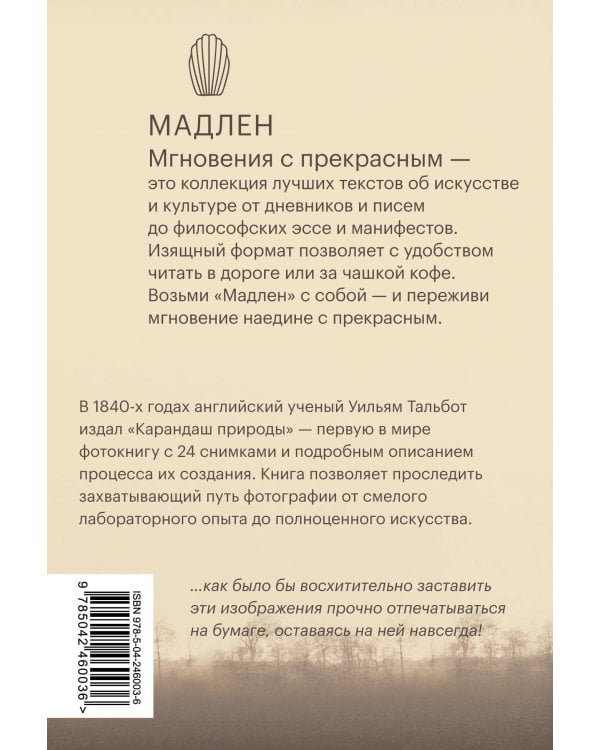 Дополнительное изображение книги «Карандаш природы. Очерки изобретателя фотографии»