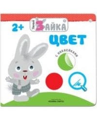 Умный зайка. Цвет