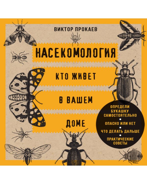 Дополнительное изображение книги «Насекомология. Кто живет в вашем доме: научный и ироничный путеводитель по домовым насекомым»