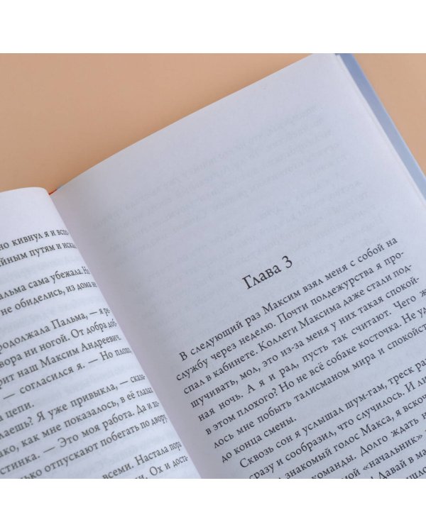 Как Трисон стал полицейским, или Правила добрых дел