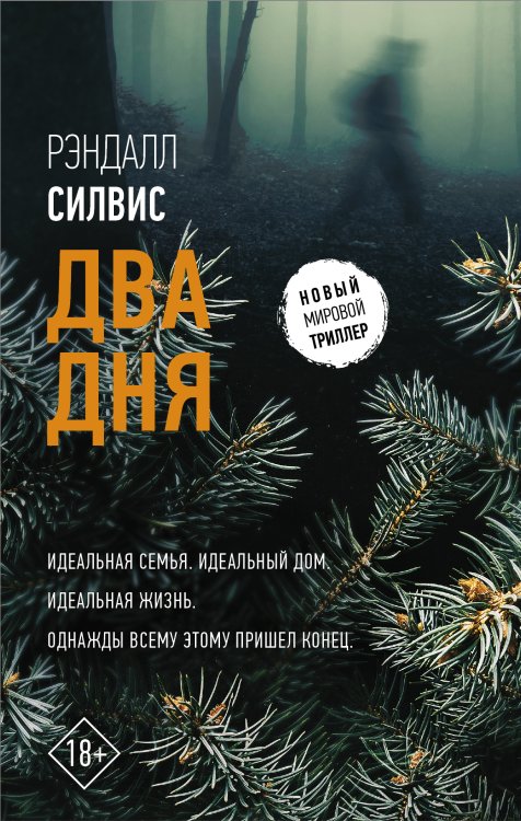Новый мировой триллер Два дня