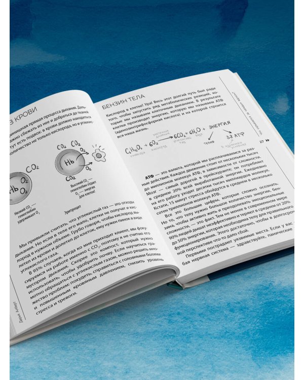 Сила дыхания. Дыхательные практики, которые меняют тело, эмоции и жизнь