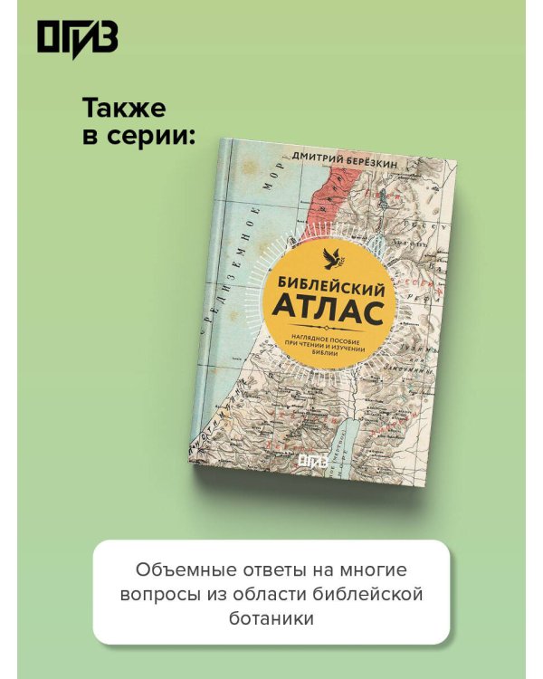Дополнительное изображение книги «Библейская флора»