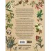 Дополнительное изображение книги «Библейская флора»