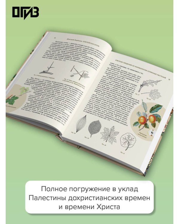Дополнительное изображение книги «Библейская флора»