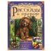 Обложка книги «Рассказы о природе. Золотые сказки. 197х255 мм. 64 стр., тв. переплет. Умка в кор.12шт» — Ушинский Константин Дмитриевич;Паустовский Константин Георгиевич;Бианки Виталий Валентинович, ISBN 9785506062158