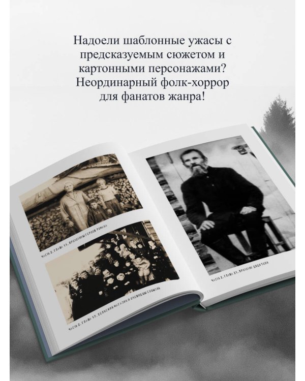 Баба Нюра. Либежгора. Мистический роман, основанный на реальных событиях