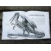 Дополнительное изображение книги «Fantastic Beasts and Where to Find Them J.K. Rowling Фантастические твари и где они обитают Дж.К Роулинг / Книги на английском языке»