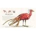 Дополнительное изображение книги «Fantastic Beasts and Where to Find Them J.K. Rowling Фантастические твари и где они обитают Дж.К Роулинг / Книги на английском языке»