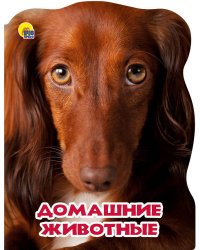 МИР ЖИВОТНЫХ. ДОМАШНИЕ ЖИВОТНЫЕ