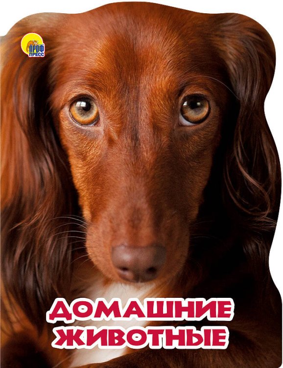 СЕРИЯ: ВЫРУБКА А4 "МИР ЖИВОТНЫХ" глянц.ламин. (Проф-Пресс) МИР ЖИВОТНЫХ. ДОМАШНИЕ ЖИВОТНЫЕ