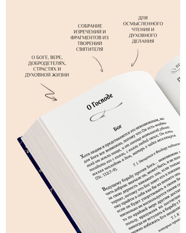 Мудрость для жизни. Избранные наставления на каждый день