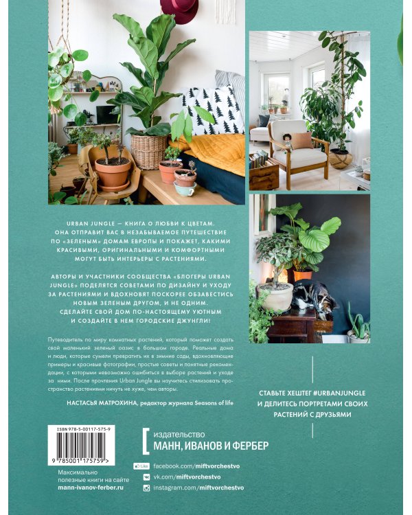 Urban Jungle. Как создать уютный интерьер с помощью растений