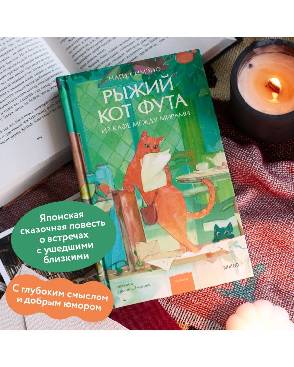 Рыжий кот Фута из кафе между мирами